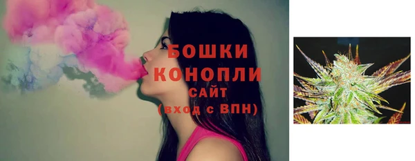 СК Михайлов