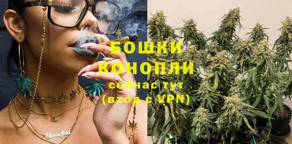 СК Михайлов
