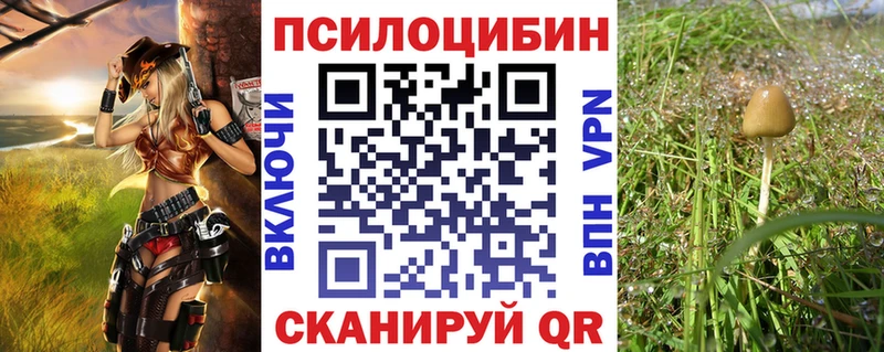 Галлюциногенные грибы Cubensis  Купить  Шахты 